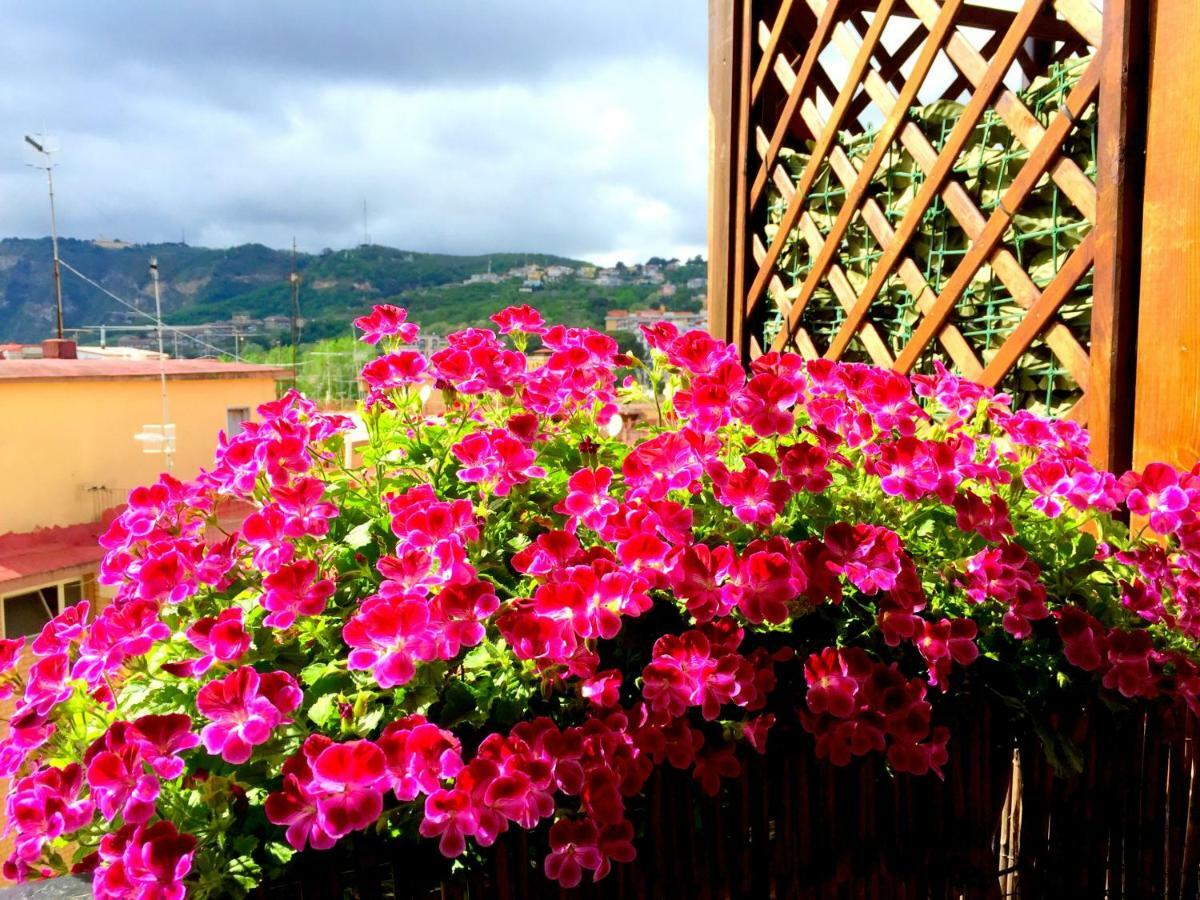 Appartement Delicia - Con Terrazza Napels